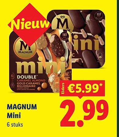 MAGNUM Mini 6 stuks