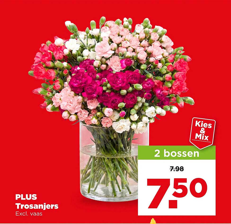 PLUS Trosanjers Excl. vaas 2 bossen Kies & Mix