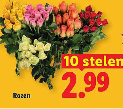 Rozen