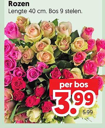 Rozen Lengte 40 cm. Bos 9 stelen.