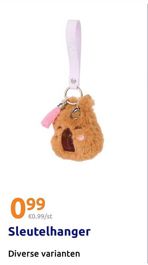 Sleutelhanger Diverse varianten