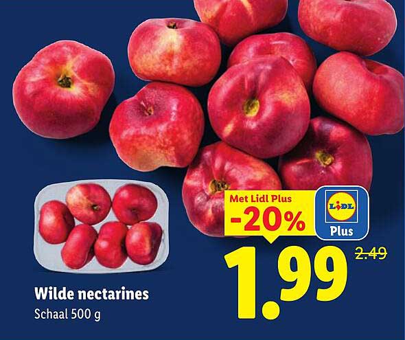 Wilde nectarines Schaal 500 g Met Lidl Plus -20%