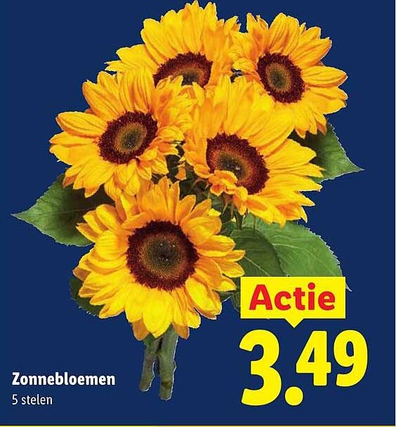 Zonnebloemen 5 stelen Actie
