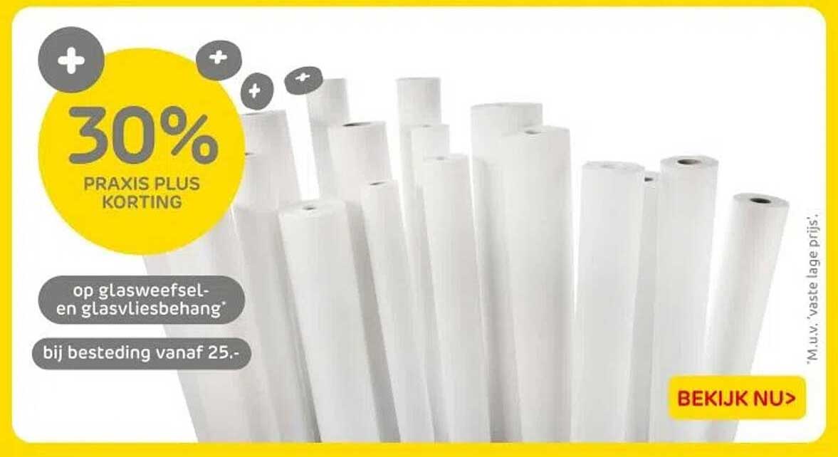 30% PRAKIS PLUS KORTING op glasweefsel- en glasvliesbehang bij besteding vanaf 25.-