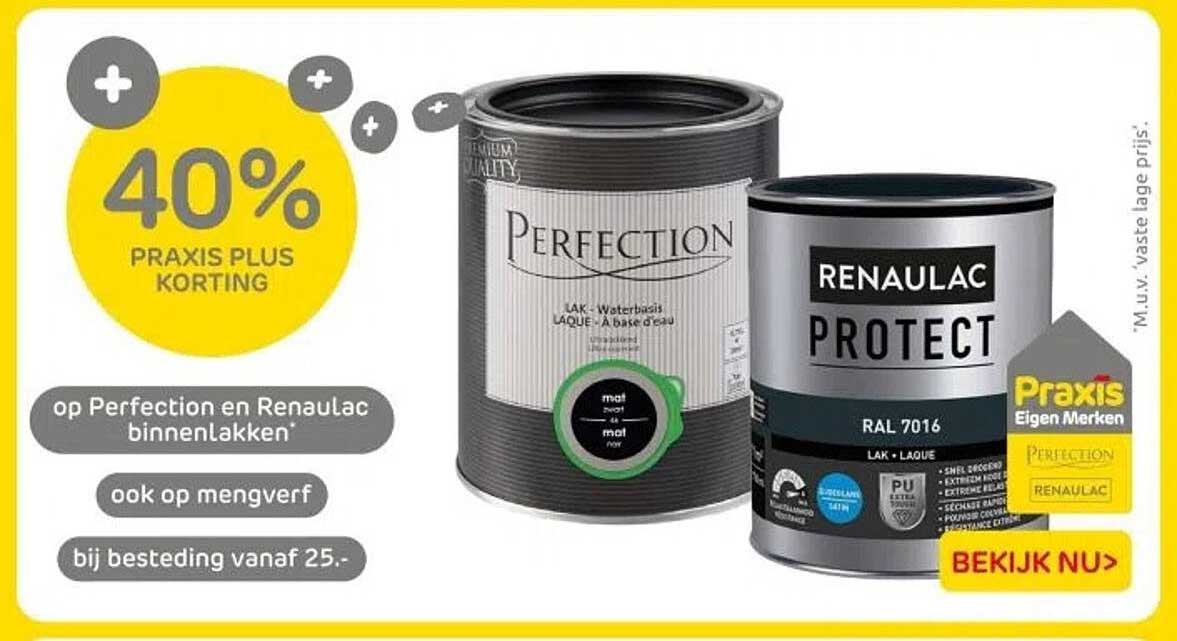 40% PRAKTIJK PLUS KORTING op Perfection en Renau lac binnenlakken