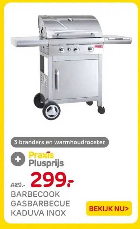 BARBECOOK GASBARBECUE KADUVA INOX