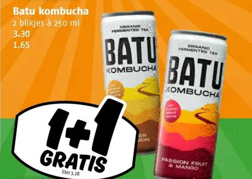 Batu kombucha 2 blikjes à 250 ml