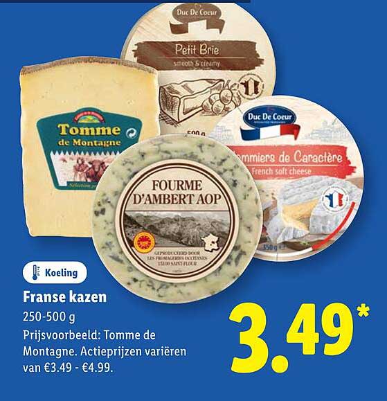 Franse kazen