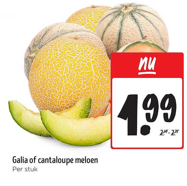 Galia of cantaloupe meloen