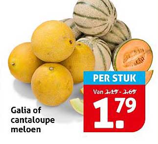Galia of cantaloupe meloen