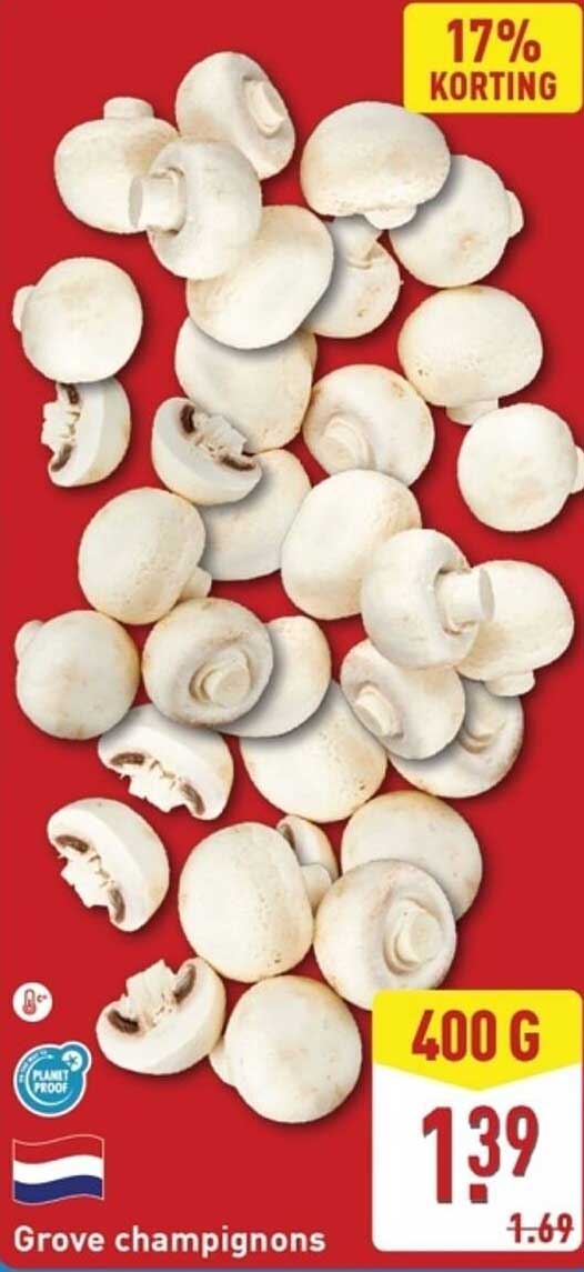Grove champignons