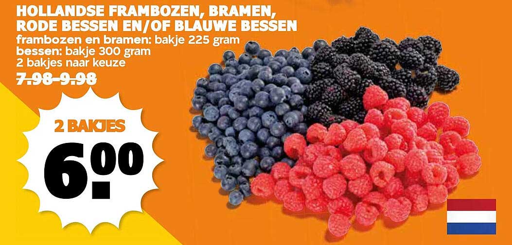 HOLLANDSE FRAMBOZEN, BRAMEN, RODE BESSEN EN/OF BLAUWE BESSEN