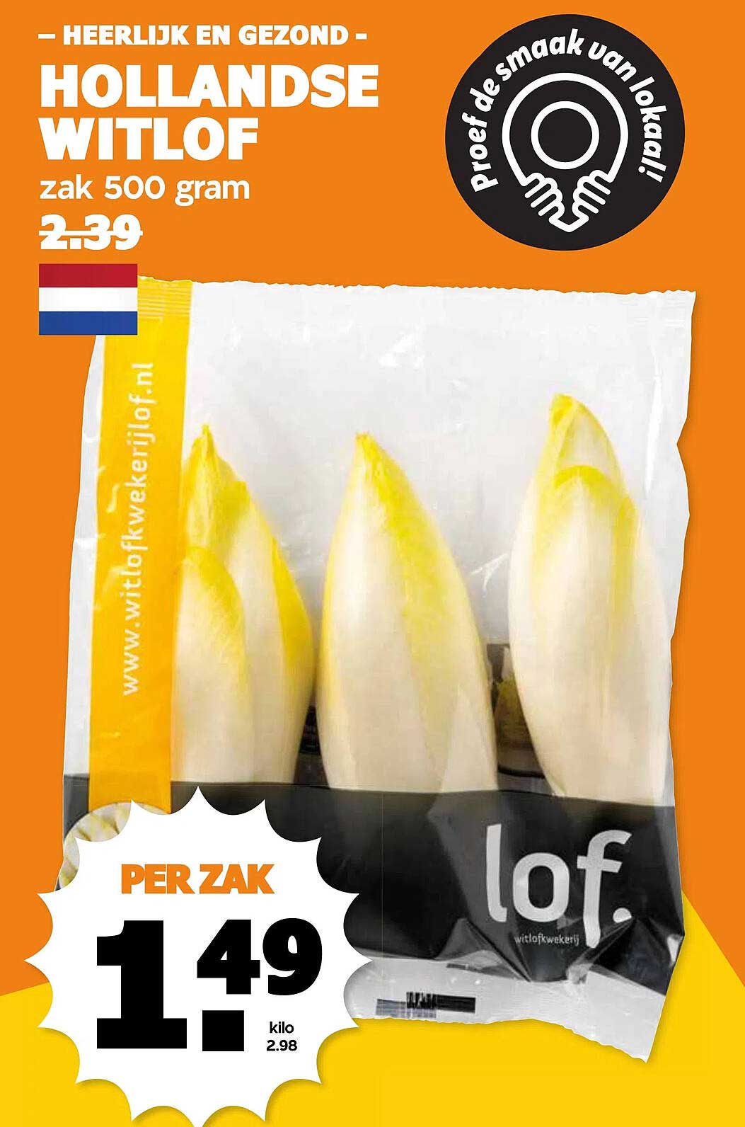 Hollandse Witlof zak 500 gram