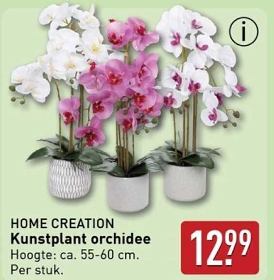 HOME CREATION Kunstplant orchidee