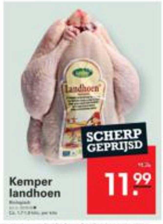 Kemper landhoen