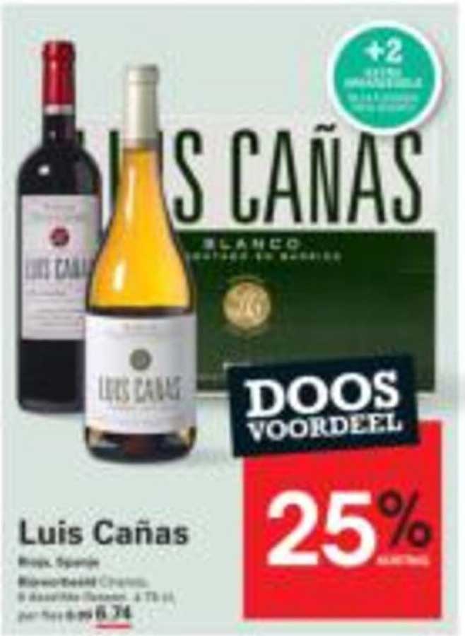 Luis Cañas