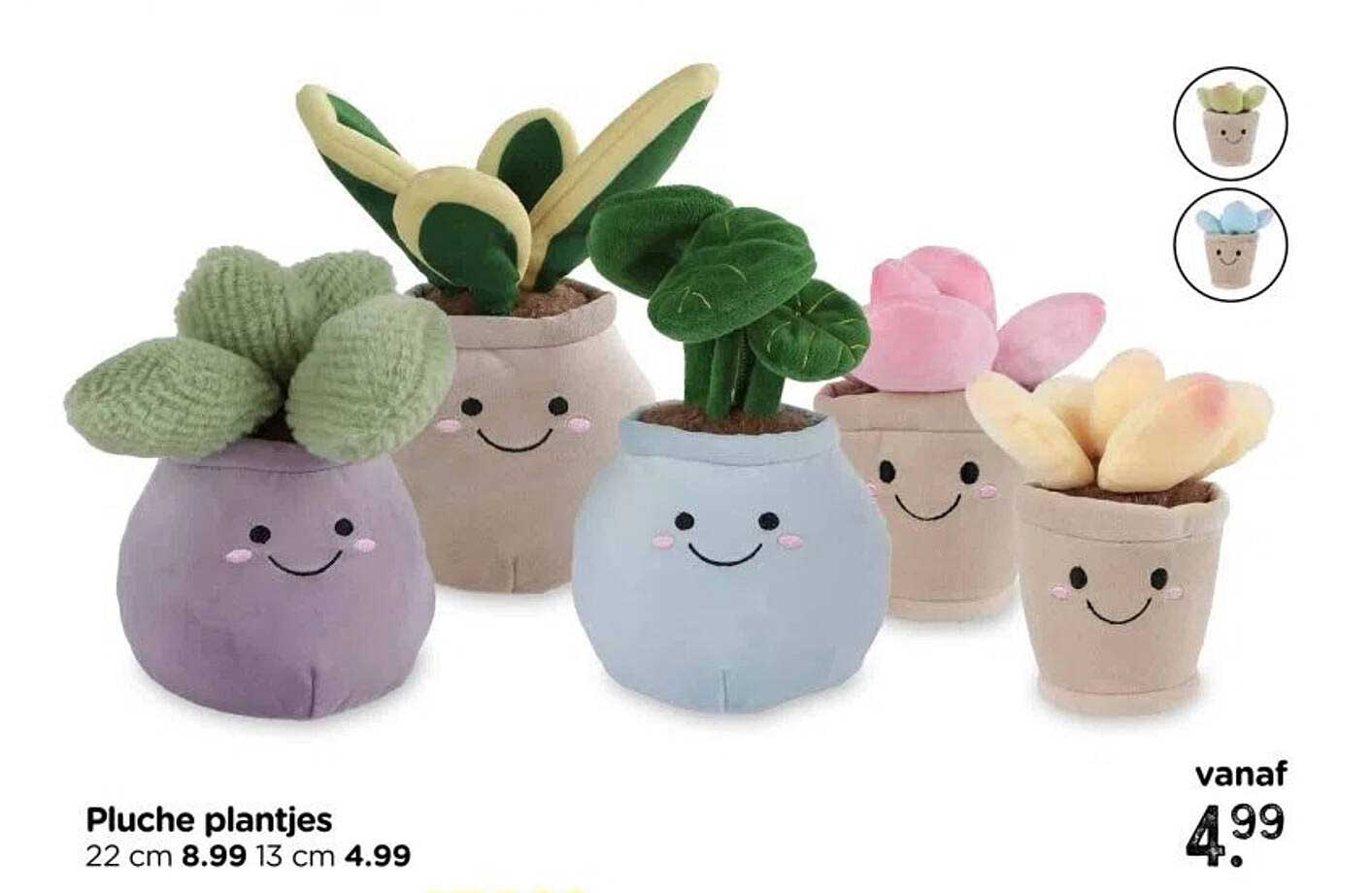 Pluche plantjes