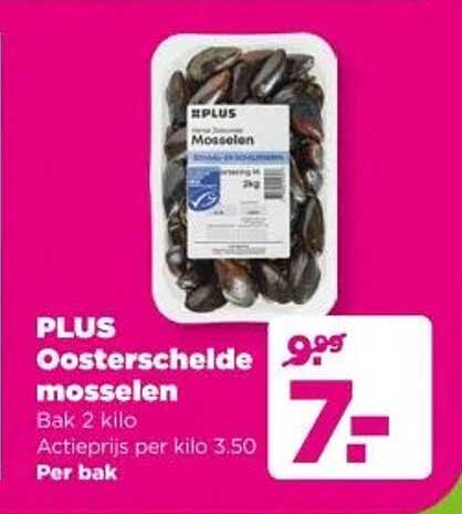 PLUS Oosterschelde mosselen