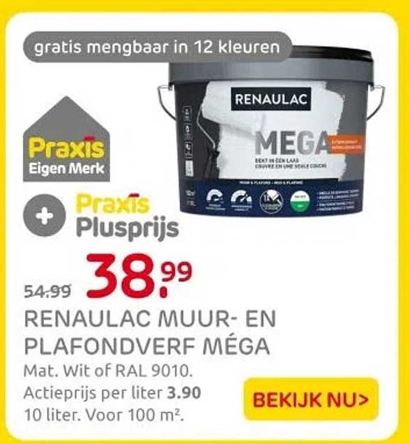 RENAULAC MUUR- EN PLAFONDVERF MÉGA