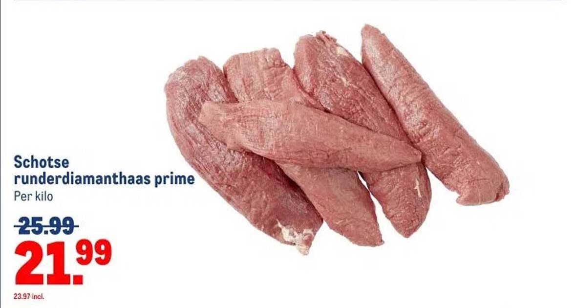 Schotse runderdiamanthaas prime