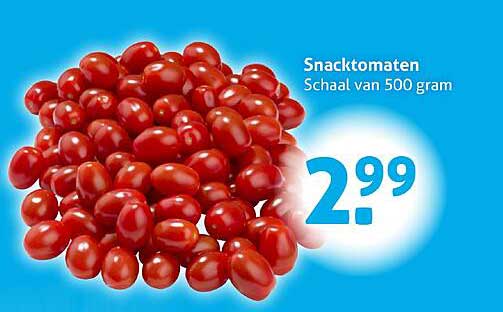Snacktomaten Schaal van 500 gram