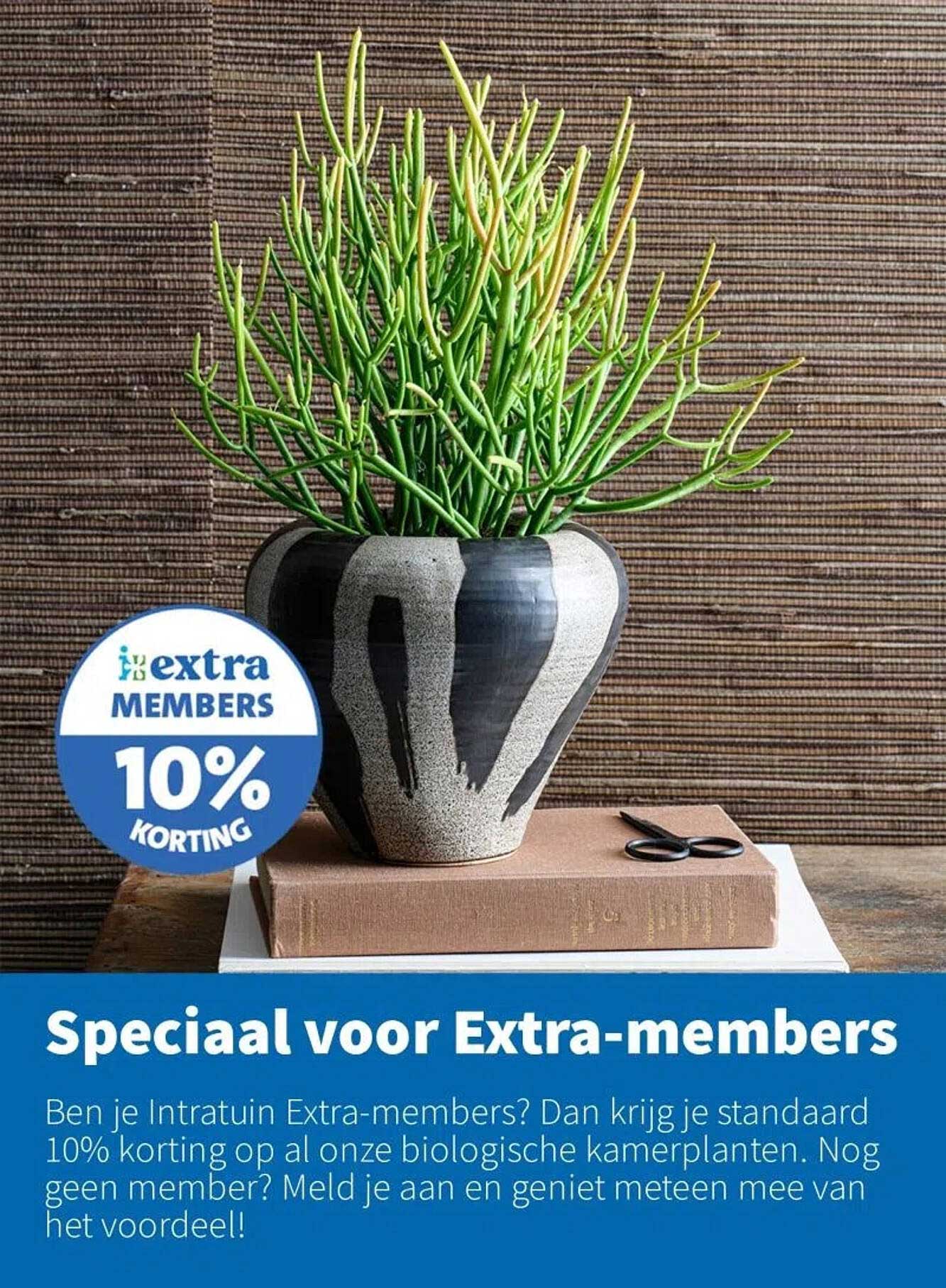 Speciaal voor Extra-members: 10% korting op biologische kamerplanten