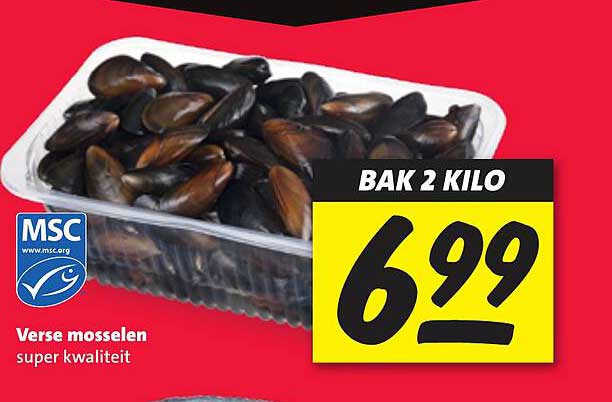 Verse mosselen