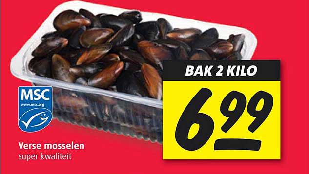 Verse mosselen