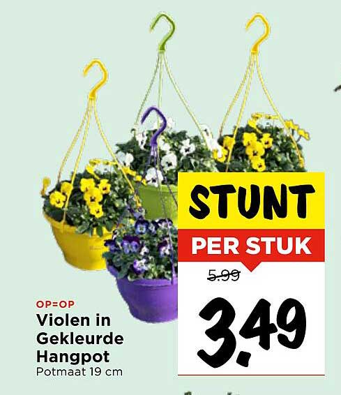Violen in Gekleurde Hangpot