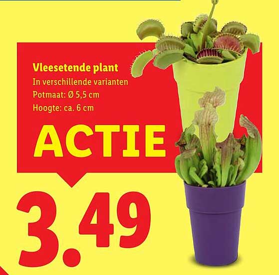 Vleesetende plant