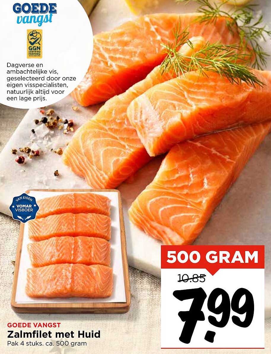 Zalmfilet met Huid