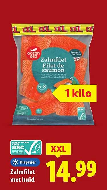 Zalmfilet met huid