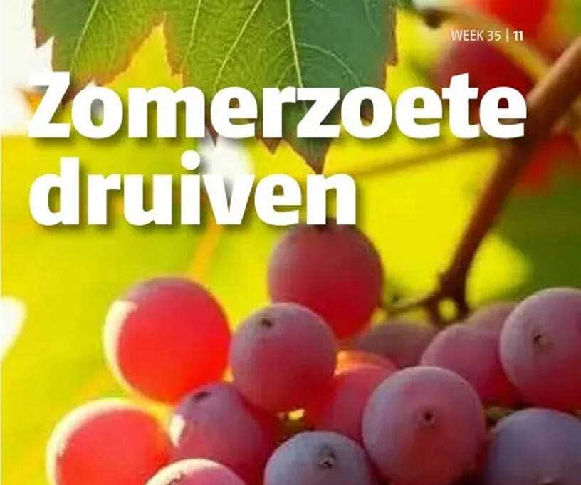Zomerzoete druiven
