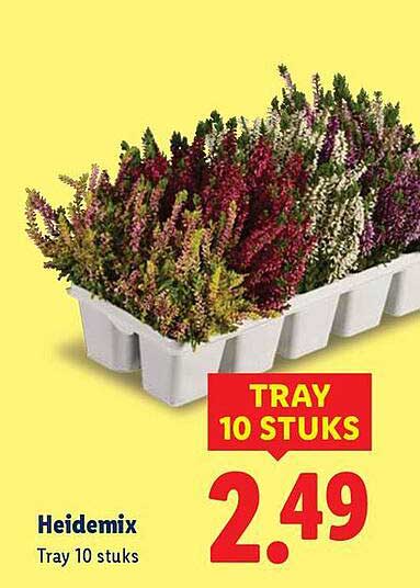 Heidemix Tray 10 stuks