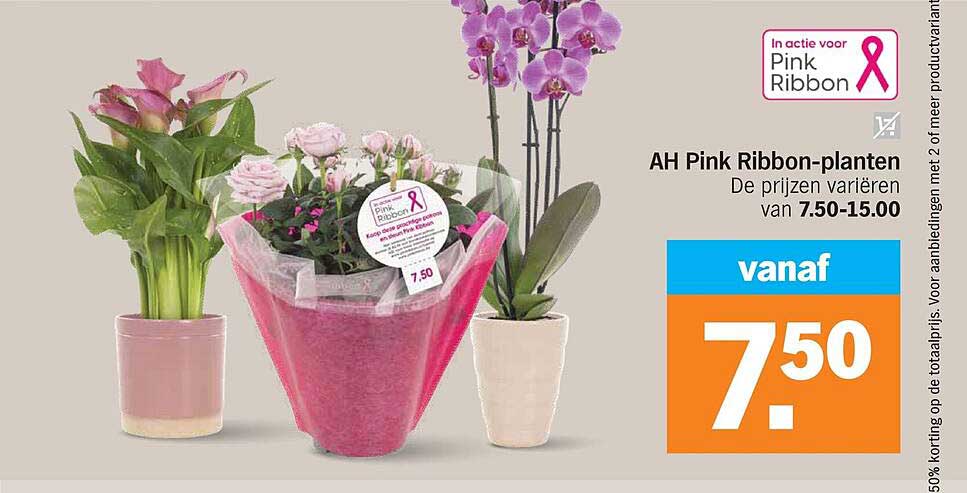 AH Pink Ribbon-planten
