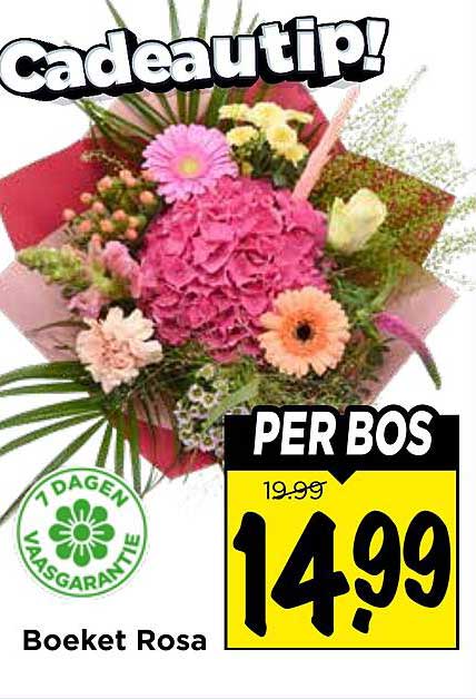 Boeket Rosa PER BOS