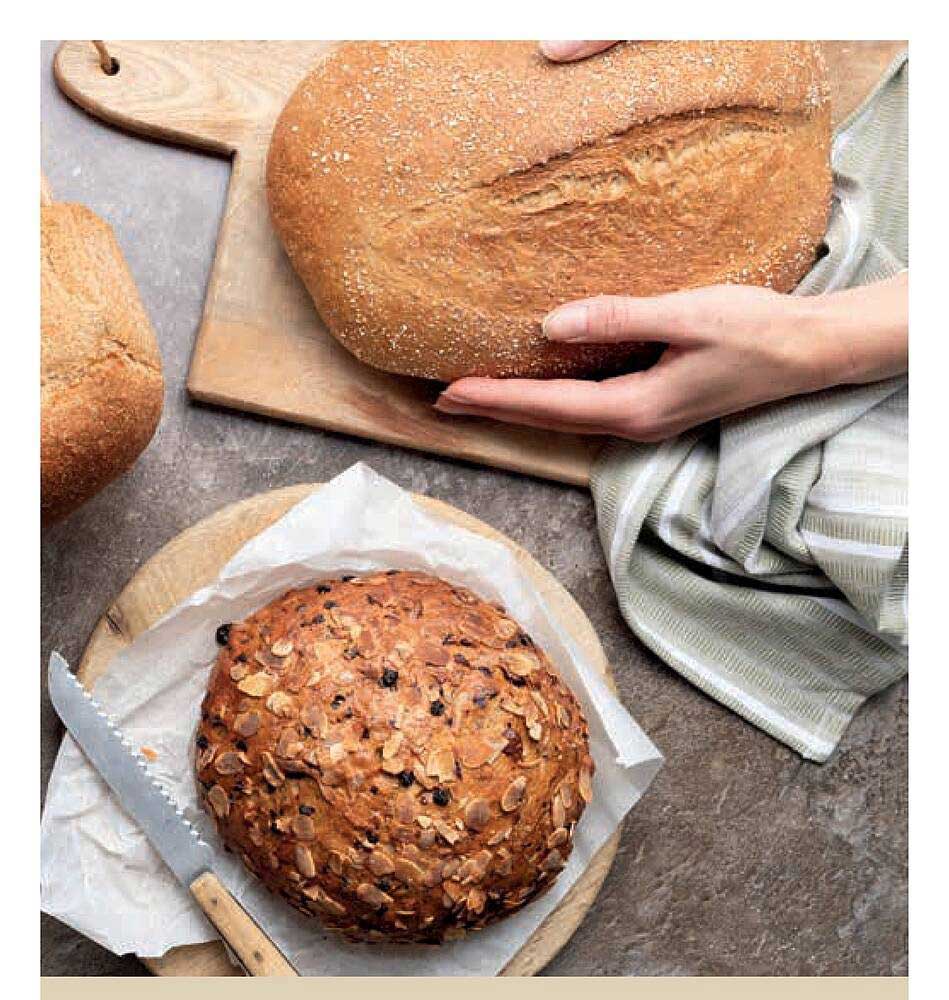 Brood