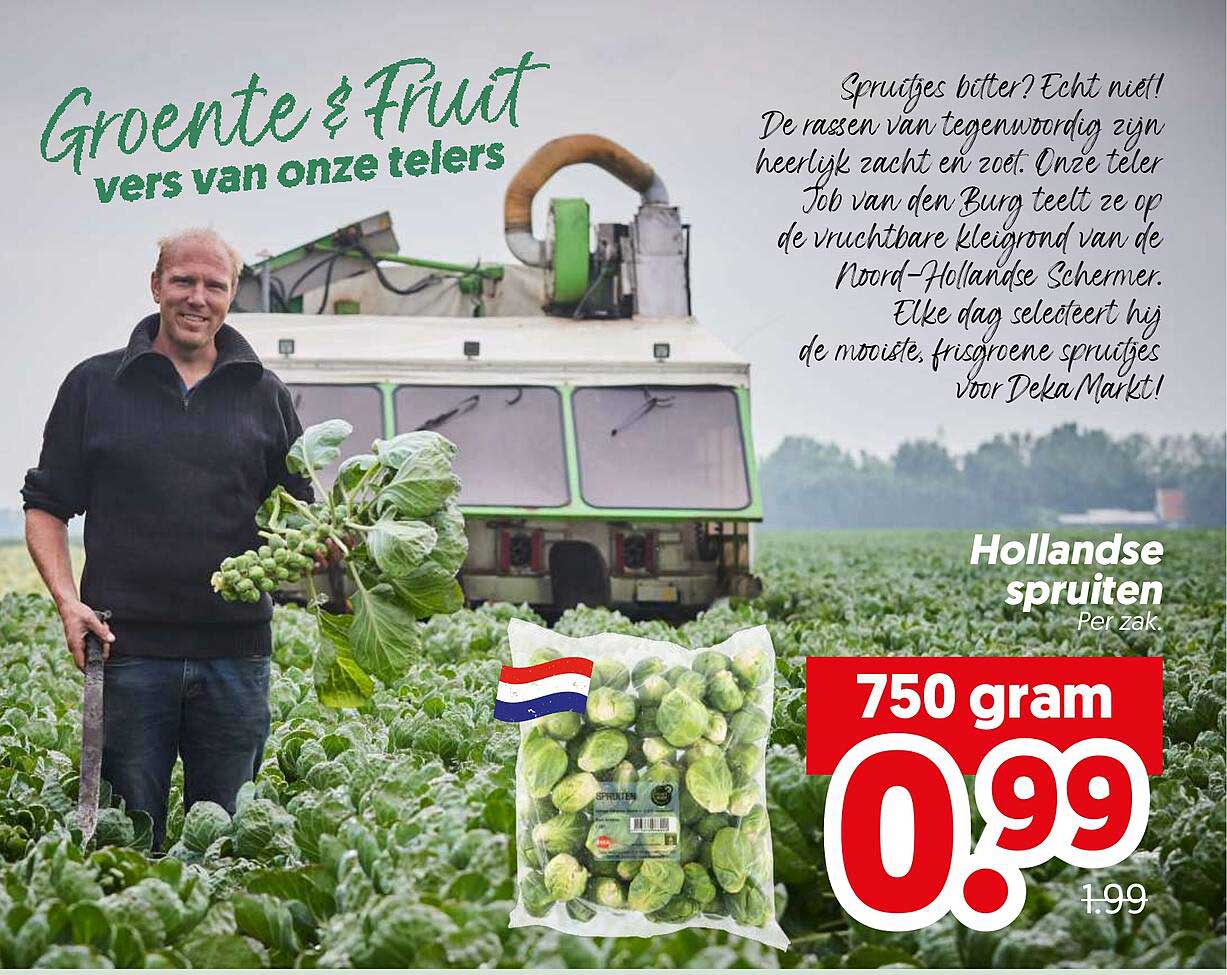 Hollandse spruiten