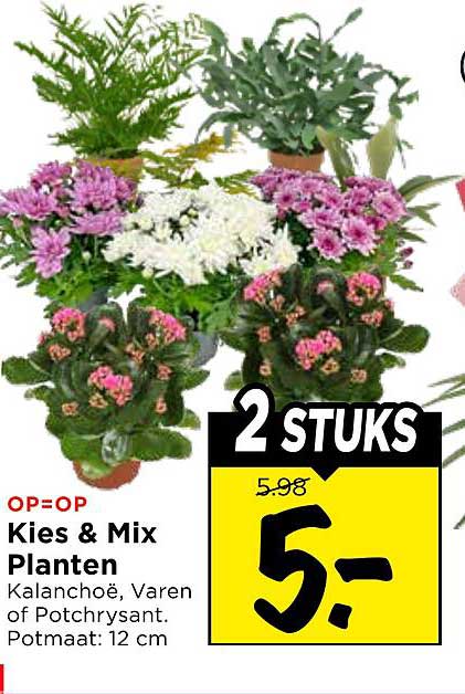Kies & Mix Planten