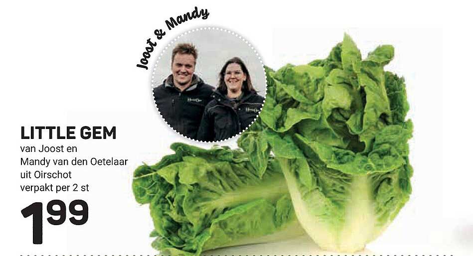 LITTLE GEM van Joost en Mandy van den Oetelaar uit Oirschot verpakt per 2 st