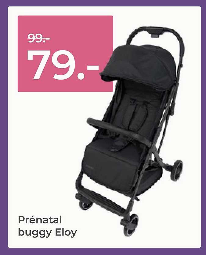 Prénatal buggy Eloy