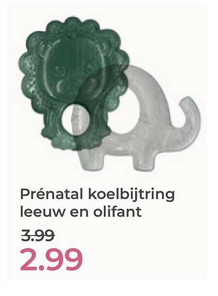 Prénatal koelbijtring leeuw en olifant