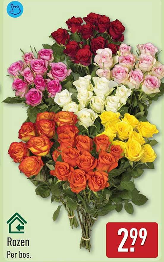 Rozen