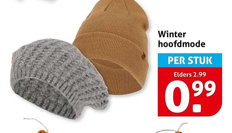 Winter hoofdmode PER STUK