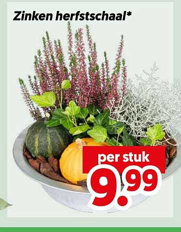 Zinken herfstschaal*