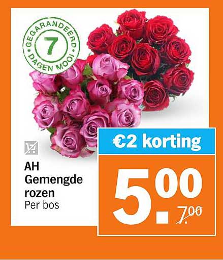 AH Gemengde rozen