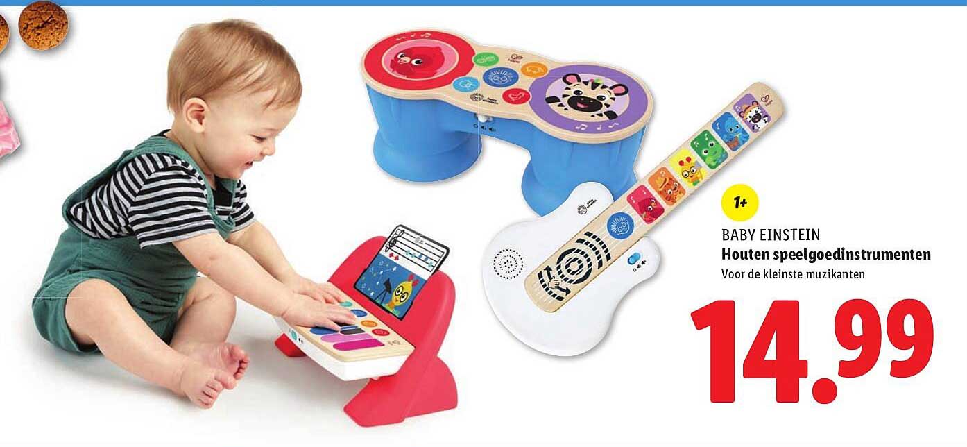 BABY EINSTEIN Houten speelgoedinstrumenten