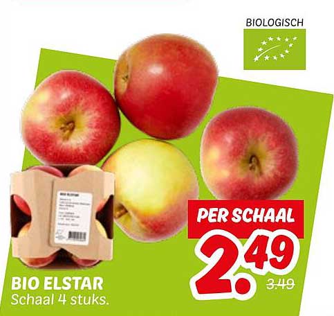 BIO ELSTAR Schaal 4 stuks.