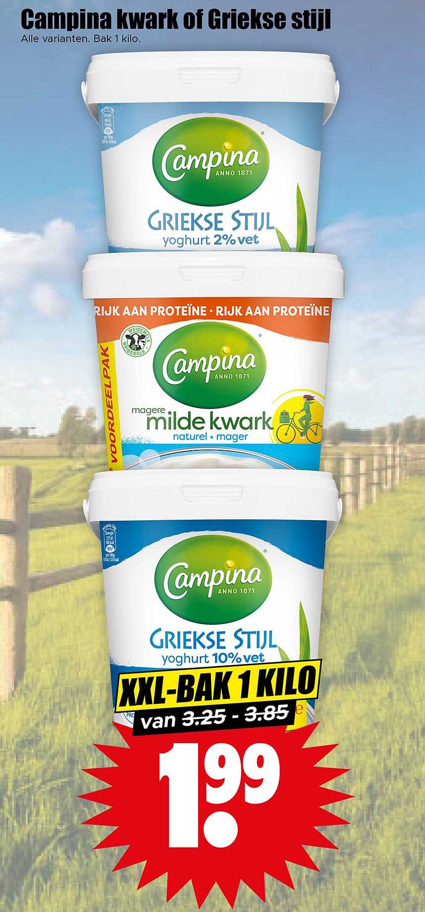 Campina kwark of Griekse stijl