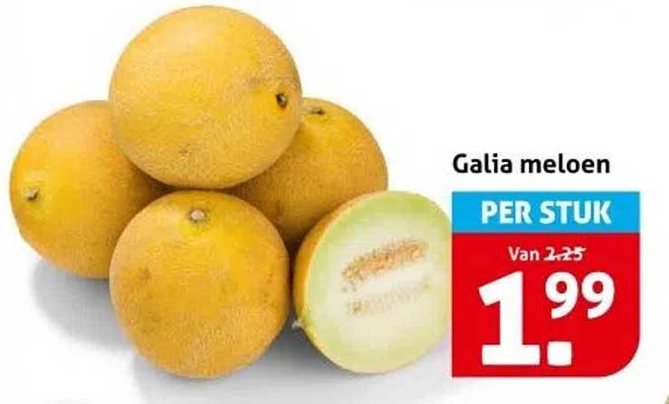 Galia meloen per stuk